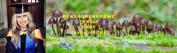 экстази Карпинск