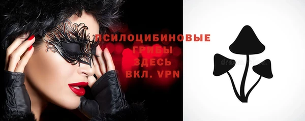 экстази Карпинск