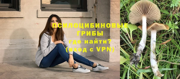 винт Касимов